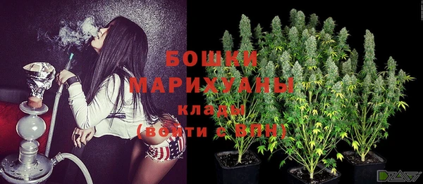 PSILOCYBIN Тихвин