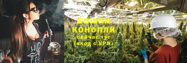 PSILOCYBIN Тихвин