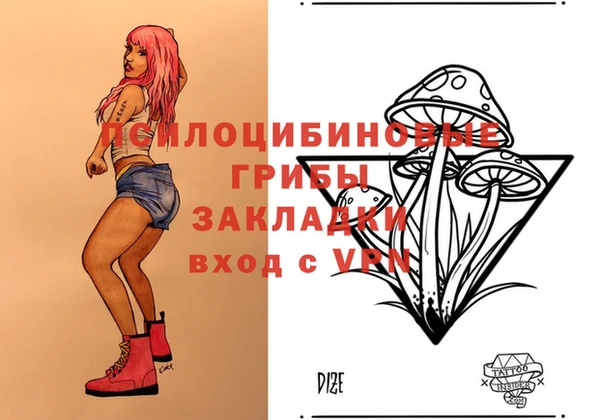 PSILOCYBIN Тихвин