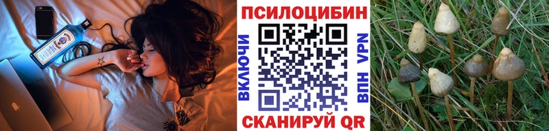 кракен   Высоковск  Галлюциногенные грибы прущие грибы 